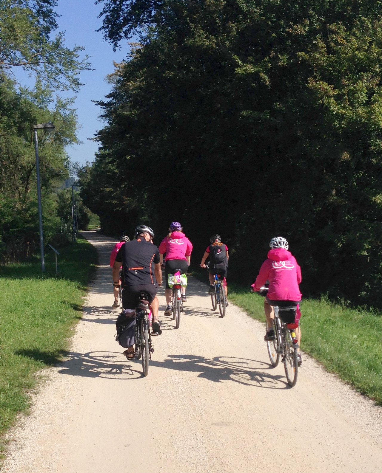 Es sind 5 Radfahrer von hinten auf einem Fahrrad zu sehen, welche sich auf der Schleifenroute bewegen.